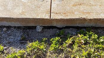 A Few Signs a Seawall is in Need of Repair 4.jpg