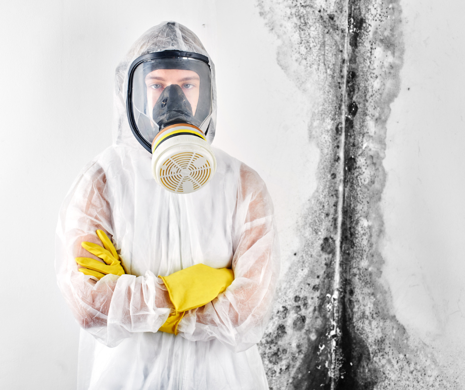 Foundation Repair is More Affordable than remediating mold
